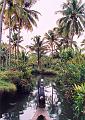 Kerala 6